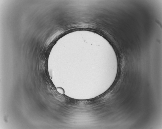 X0000103481163200810100952