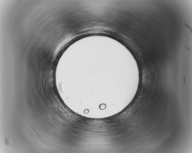 X0000103481164200810100952