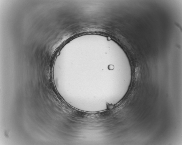 X0000103481165200810100952