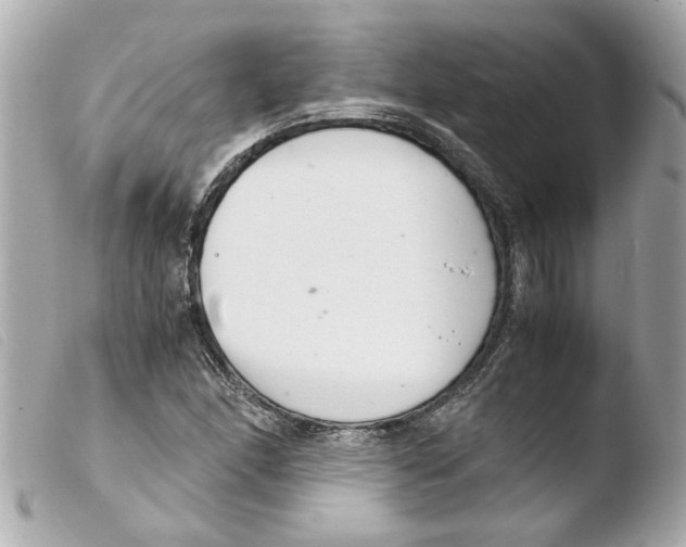 X0000103481166200810100952