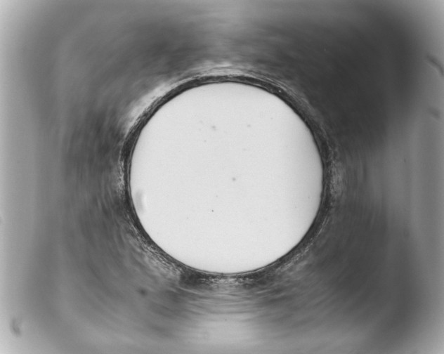 X0000103481167200810100952