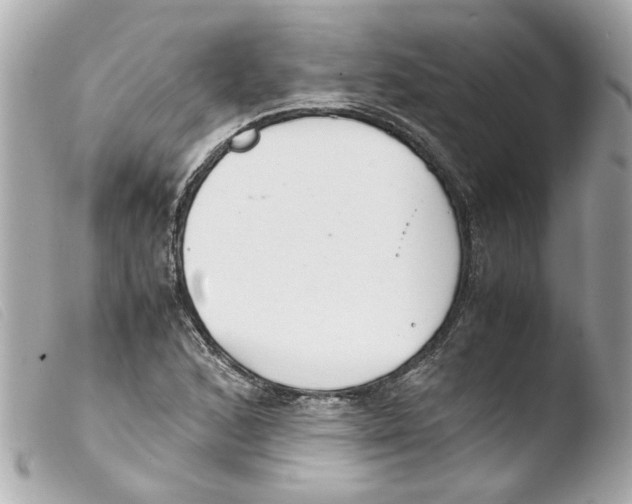 X0000103481168200810100952