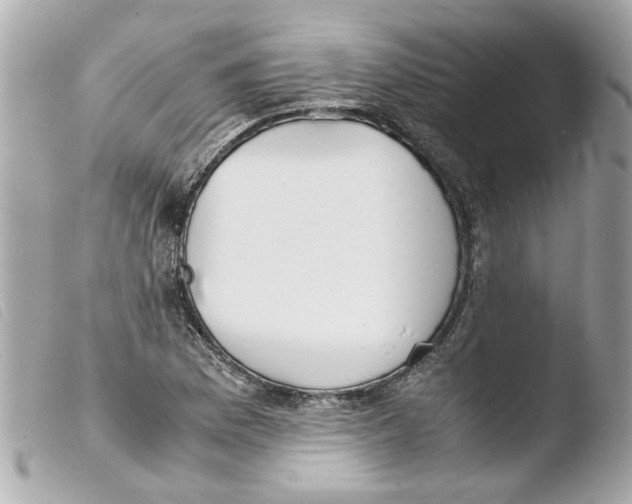 X0000103481169200810100952