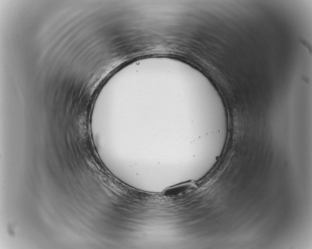 X0000103481170200810100952
