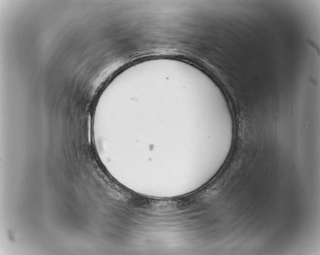X0000103481171200810100952