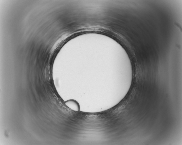 X0000103481172200810100952