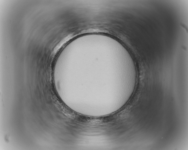 X0000103481173200810100952