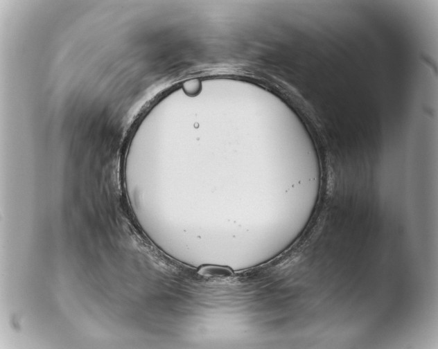 X0000103481174200810100952