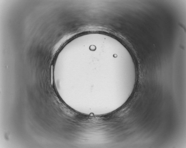 X0000103481175200810100952