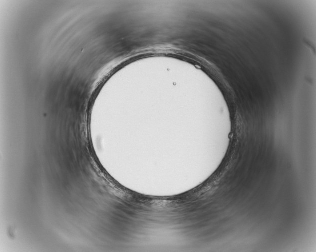 X0000103481176200810100952