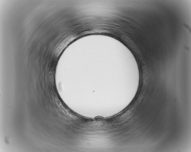 X0000103481177200810100952