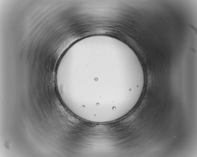 X0000103481178200810100952