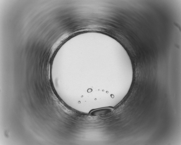 X0000103481180200810100952