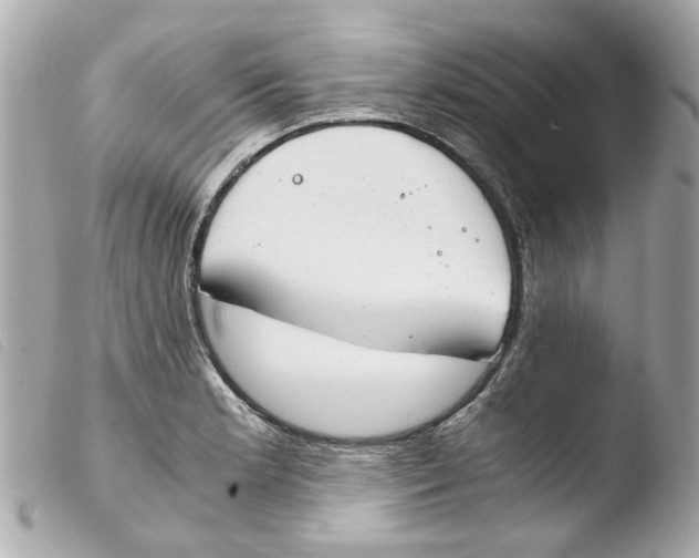 X0000103481181200810100952