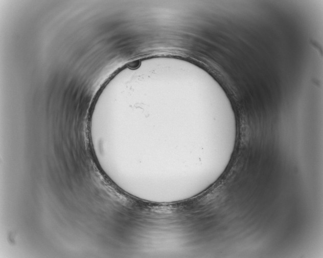 X0000103481182200810100952