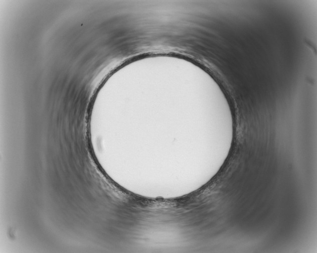 X0000103481183200810100952