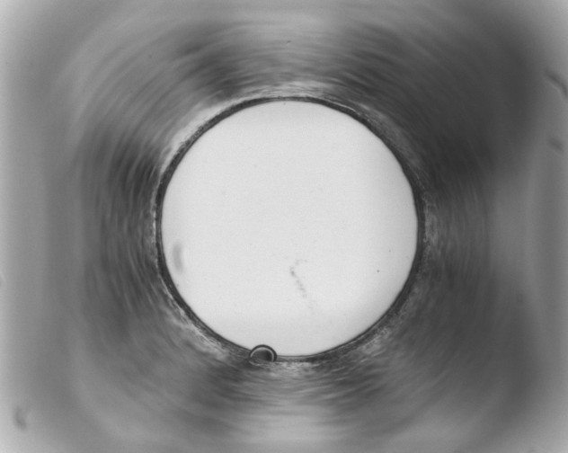 X0000103481184200810100952