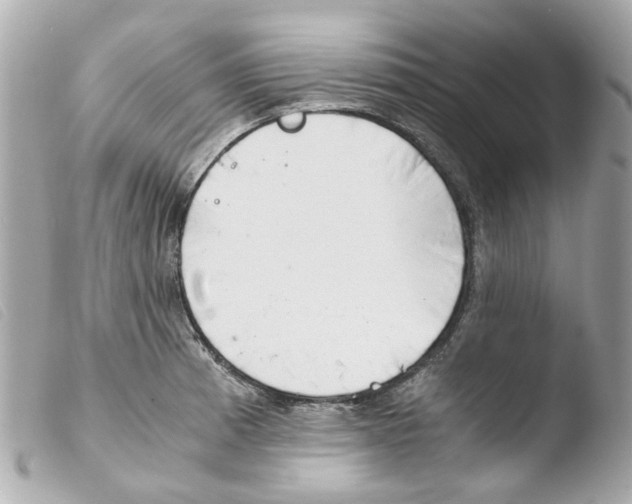 X0000103481185200810100952