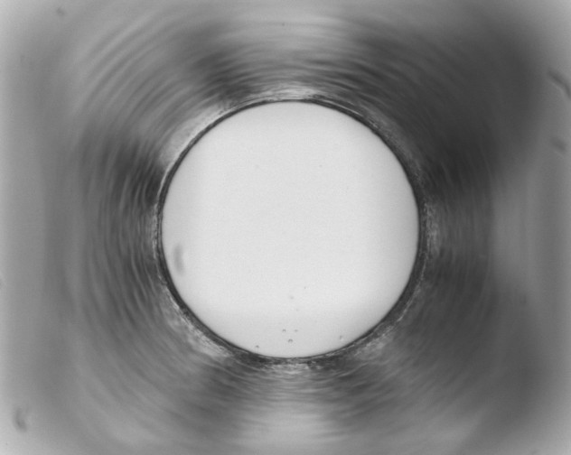 X0000103481186200810100952