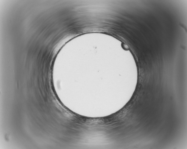 X0000103481187200810100952
