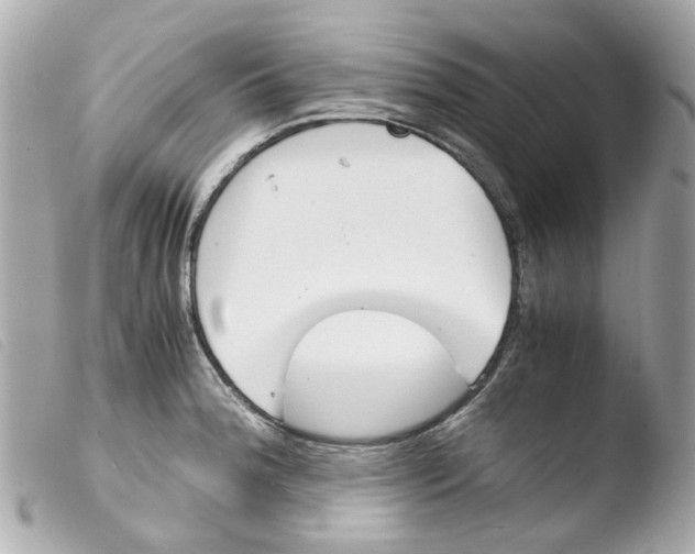 X0000103481188200810100952