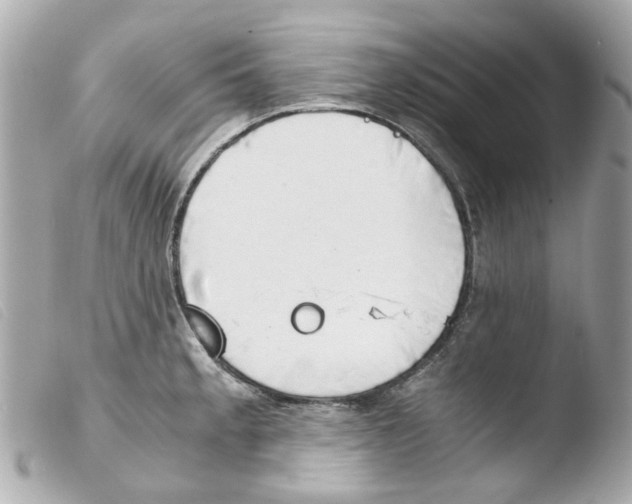 X0000103481189200810100952