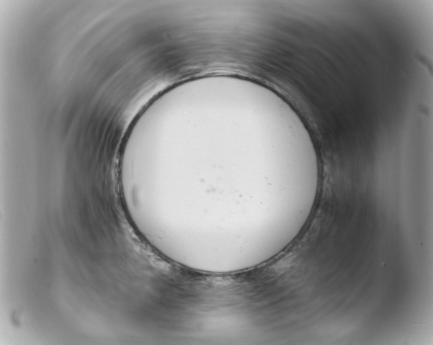 X0000103481190200810100952