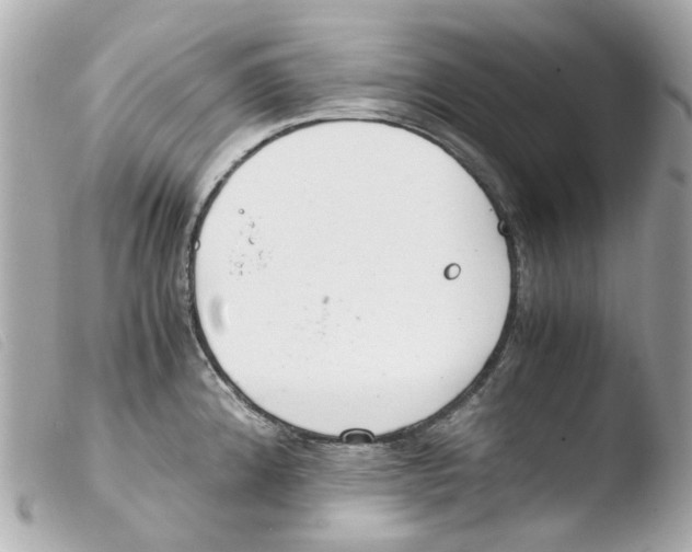 X0000103481192200810100952