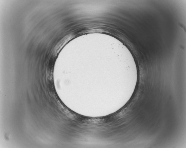 X0000103481193200810100952