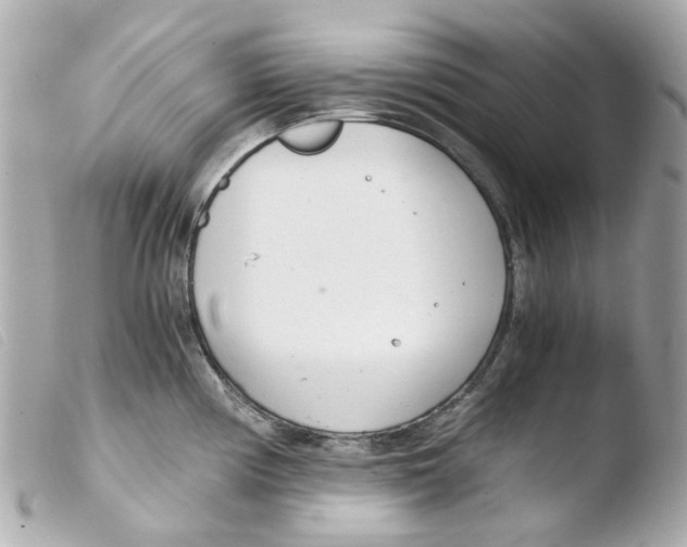 X0000103481194200810100952