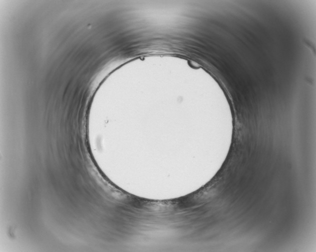 X0000103481195200810100952