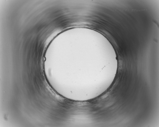 X0000103481196200810100952