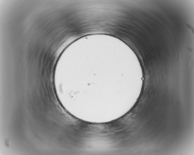 X0000103481197200810100952
