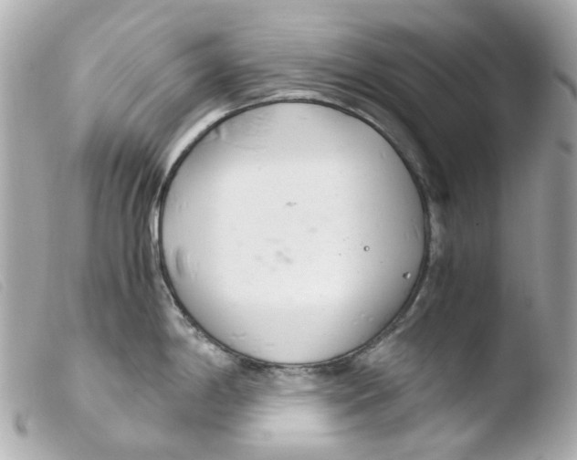 X0000103481198200810100952