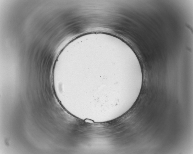 X0000103481199200810100952