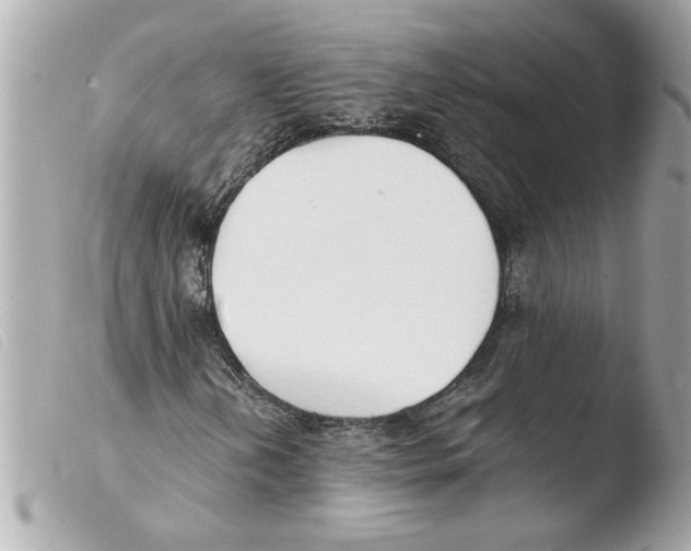 X0000103481202200810100951