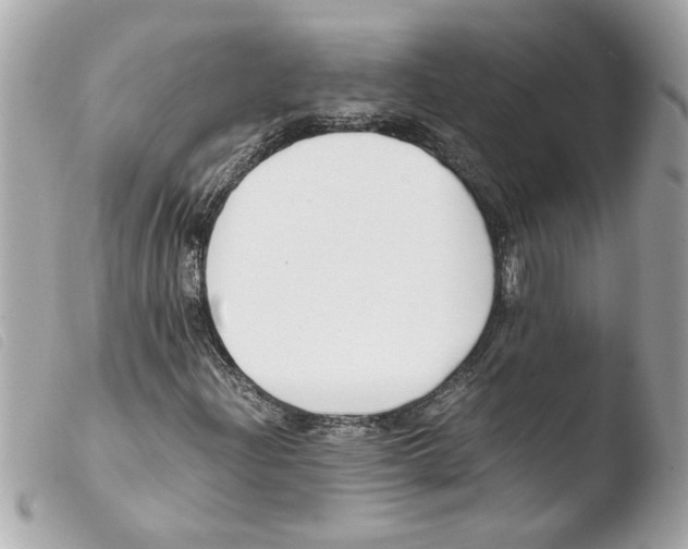 X0000103481204200810100951