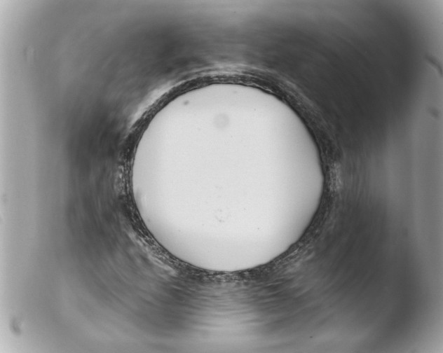 X0000103481208200810100951