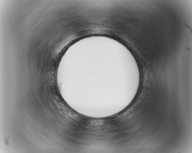 X0000103481211200810100951