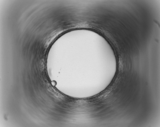 X0000103481212200810100951