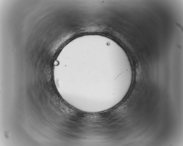 X0000103481213200810100951