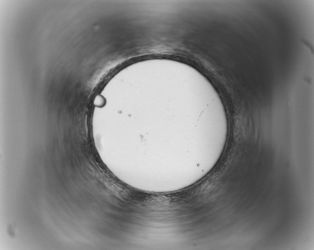 X0000103481214200810100951