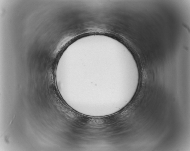 X0000103481215200810100951