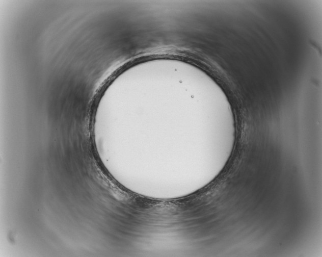 X0000103481216200810100951