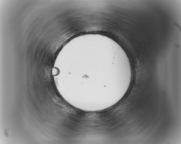 X0000103481217200810100951