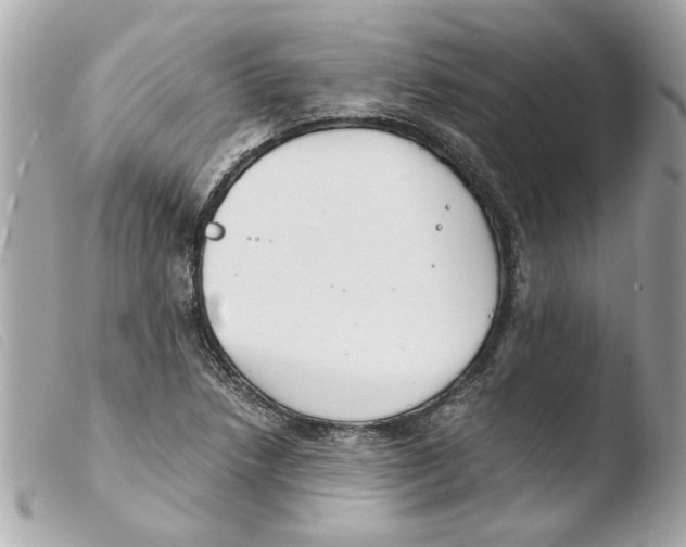 X0000103481218200810100951