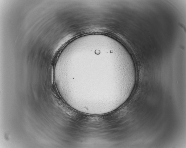 X0000103481219200810100951