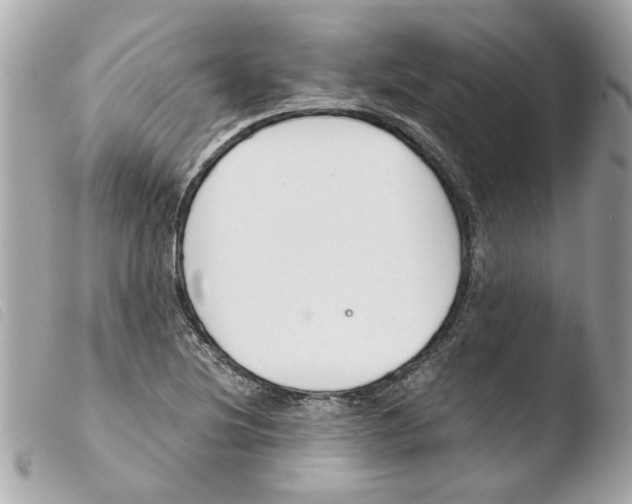 X0000103481220200810100951