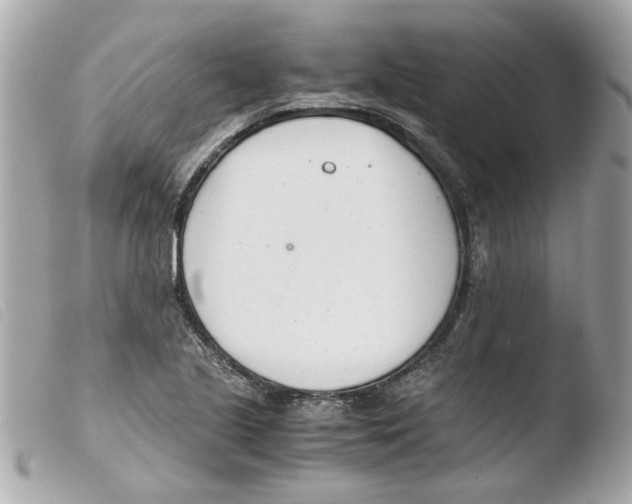 X0000103481221200810100951