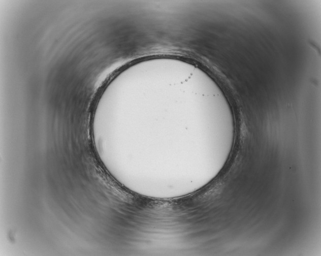 X0000103481222200810100951